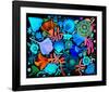 Night Garden-Mercedes Lagunas-Framed Art Print