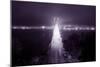 Night Glow Into Fog City, San Francisco-Vincent James-Mounted Photographic Print