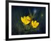 Night Harvest - N-Kirk Reinert-Framed Giclee Print