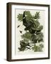 Night Hawk-null-Framed Premium Giclee Print