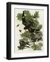 Night Hawk-null-Framed Premium Giclee Print