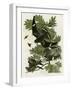 Night Hawk-null-Framed Premium Giclee Print