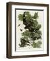 Night Hawk-null-Framed Giclee Print