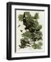 Night Hawk-null-Framed Giclee Print