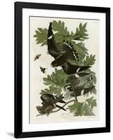 Night Hawk-null-Framed Giclee Print