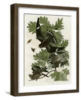 Night Hawk-null-Framed Giclee Print