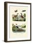 Night Heron, 1833-39-null-Framed Giclee Print