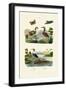 Night Heron, 1833-39-null-Framed Giclee Print