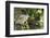 Night Heron;-Gary Carter-Framed Photographic Print