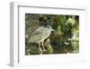 Night Heron;-Gary Carter-Framed Photographic Print