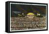 Night, Hollywood Bowl, Los Angeles, California-null-Framed Stretched Canvas