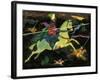 Night Horseman with Lances, 1960s-George Adamson-Framed Giclee Print