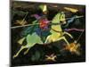 Night Horseman with Lances, 1960s-George Adamson-Mounted Giclee Print