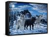 Night Howl-Jeff Tift-Framed Stretched Canvas