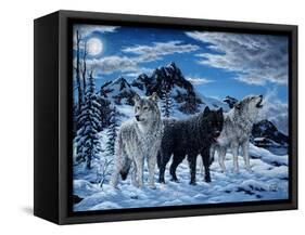 Night Howl-Jeff Tift-Framed Stretched Canvas