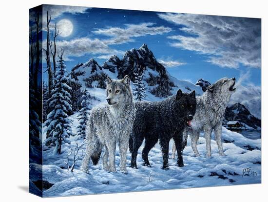 Night Howl-Jeff Tift-Stretched Canvas