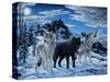 Night Howl-Jeff Tift-Stretched Canvas