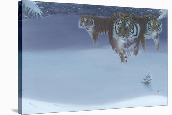 Night Hunt-Durwood Coffey-Stretched Canvas