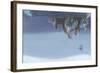 Night Hunt-Durwood Coffey-Framed Giclee Print