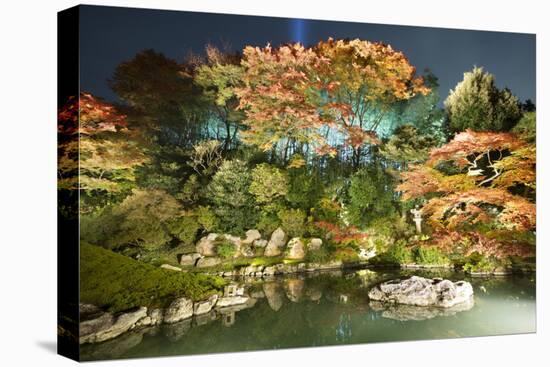 Night Illuminations of Temple Gardens, Shoren-In Temple, Southern Higashiyama, Kyoto, Japan-Stuart Black-Stretched Canvas