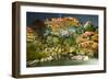 Night Illuminations of Temple Gardens, Shoren-In Temple, Southern Higashiyama, Kyoto, Japan-Stuart Black-Framed Photographic Print