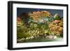 Night Illuminations of Temple Gardens, Shoren-In Temple, Southern Higashiyama, Kyoto, Japan-Stuart Black-Framed Photographic Print