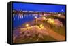 Night Image of Cherry Blossoms and Water Front Park, Willamette River, Portland Oregon.-Craig Tuttle-Framed Stretched Canvas