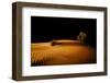 Night in the desert. Abu Dhabi, UAE.-Tom Norring-Framed Photographic Print