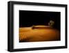 Night in the desert. Abu Dhabi, UAE.-Tom Norring-Framed Photographic Print