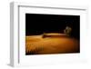 Night in the desert. Abu Dhabi, UAE.-Tom Norring-Framed Photographic Print