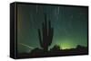 Night in the Desert-DLILLC-Framed Stretched Canvas