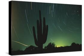 Night in the Desert-DLILLC-Stretched Canvas