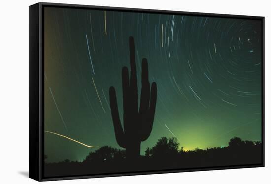 Night in the Desert-DLILLC-Framed Stretched Canvas