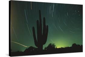 Night in the Desert-DLILLC-Stretched Canvas