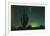 Night in the Desert-DLILLC-Framed Premium Photographic Print