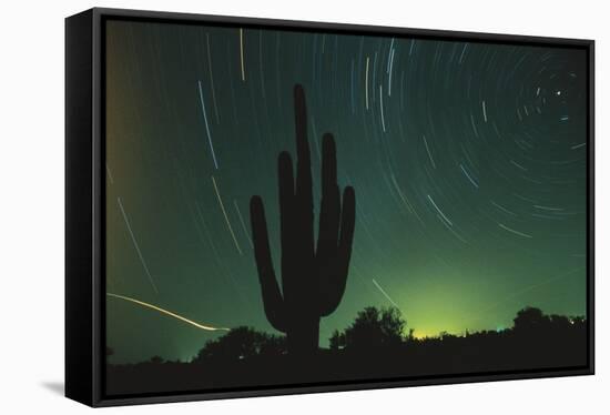 Night in the Desert-DLILLC-Framed Stretched Canvas