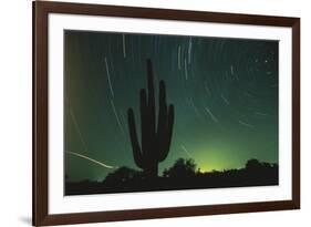 Night in the Desert-DLILLC-Framed Photographic Print