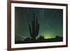 Night in the Desert-DLILLC-Framed Photographic Print