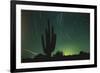 Night in the Desert-DLILLC-Framed Photographic Print