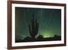 Night in the Desert-DLILLC-Framed Photographic Print