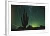 Night in the Desert-DLILLC-Framed Photographic Print