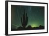 Night in the Desert-DLILLC-Framed Photographic Print