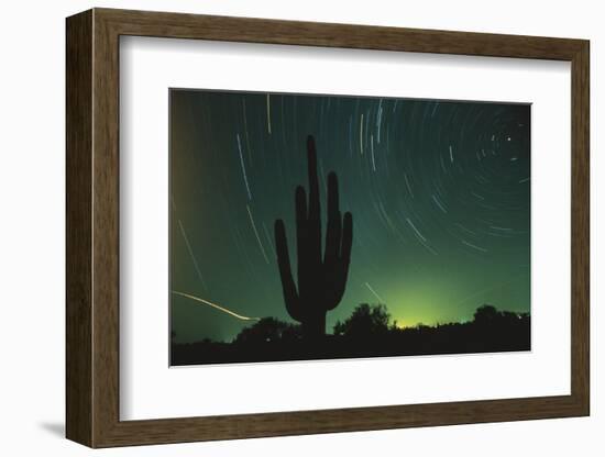 Night in the Desert-DLILLC-Framed Photographic Print