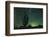 Night in the Desert-DLILLC-Framed Photographic Print