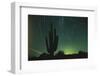 Night in the Desert-DLILLC-Framed Photographic Print