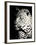 Night Leopard-Wink Gaines-Framed Giclee Print