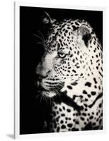 Night Leopard-Wink Gaines-Framed Giclee Print