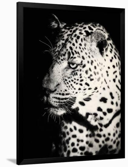 Night Leopard-Wink Gaines-Framed Giclee Print