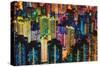 Night Life-Dan Meneely-Stretched Canvas