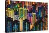 Night Life-Dan Meneely-Stretched Canvas